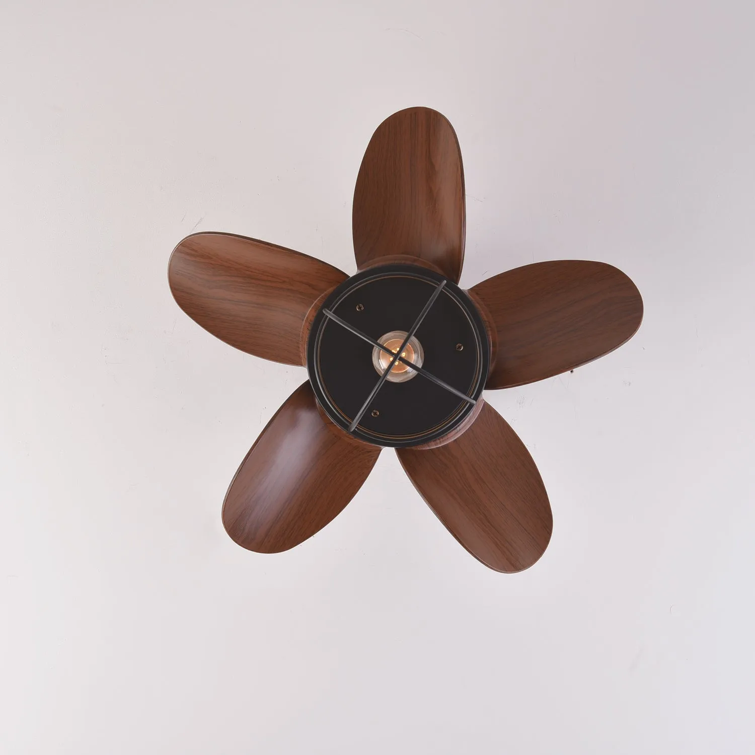 Axton Ceiling Fan Light