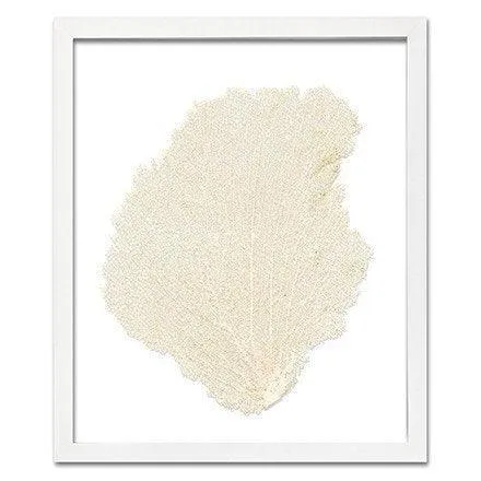 Coastal Sea Fan Framed Nautical Beach Wall Art - 15 x 18 - Available in 18 Colors