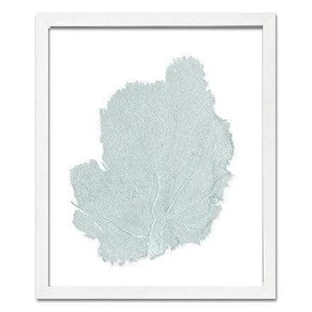 Coastal Sea Fan Framed Nautical Beach Wall Art - 15 x 18 - Available in 18 Colors