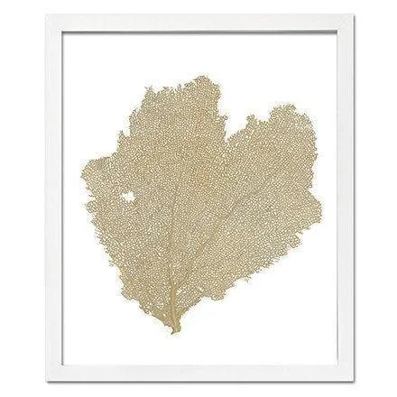 Coastal Sea Fan Framed Nautical Beach Wall Art - 15 x 18 - Available in 18 Colors