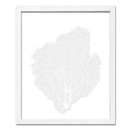 Coastal Sea Fan Framed Nautical Beach Wall Art - 15 x 18 - Available in 18 Colors