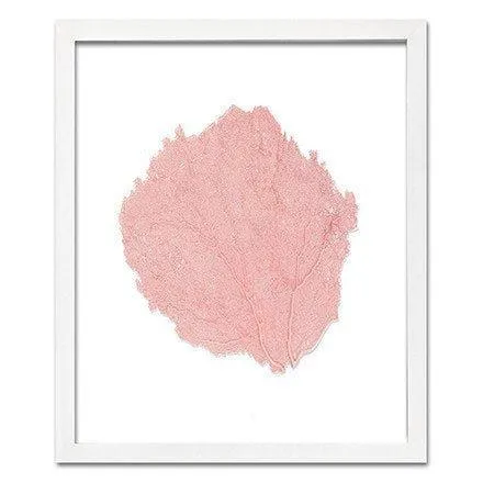 Coastal Sea Fan Framed Nautical Beach Wall Art - 15 x 18 - Available in 18 Colors