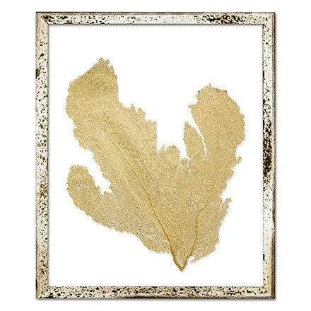 Coastal Sea Fan Framed Nautical Beach Wall Art - 15 x 18 - Available in 18 Colors