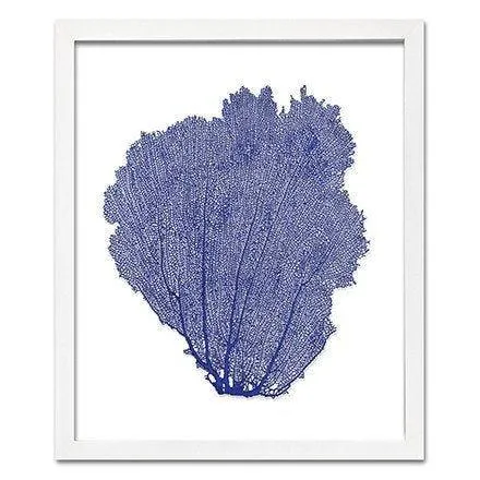 Coastal Sea Fan Framed Nautical Beach Wall Art - 15 x 18 - Available in 18 Colors