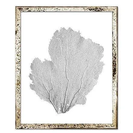 Coastal Sea Fan Framed Nautical Beach Wall Art - 15 x 18 - Available in 18 Colors