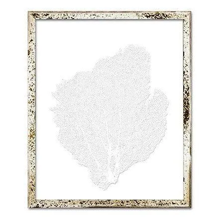 Coastal Sea Fan Framed Nautical Beach Wall Art - 15 x 18 - Available in 18 Colors