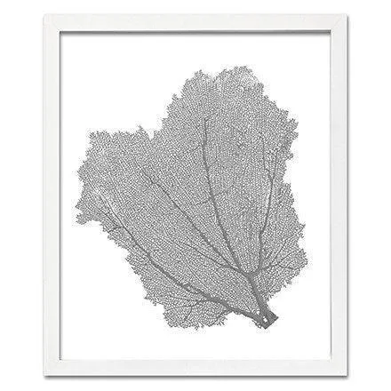 Coastal Sea Fan Framed Nautical Beach Wall Art - 15 x 18 - Available in 18 Colors