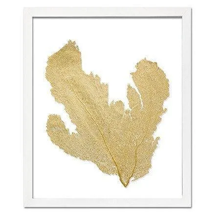 Coastal Sea Fan Framed Nautical Beach Wall Art - 15 x 18 - Available in 18 Colors