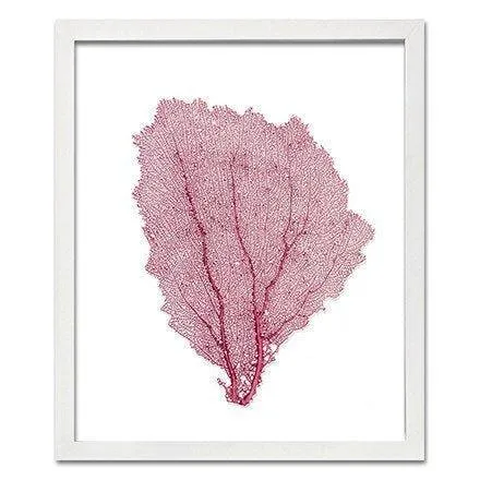 Coastal Sea Fan Framed Nautical Beach Wall Art - 15 x 18 - Available in 18 Colors