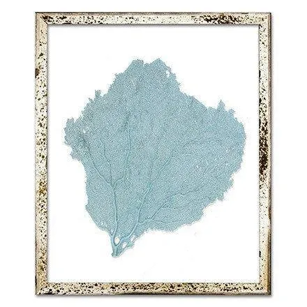 Coastal Sea Fan Framed Nautical Beach Wall Art - 15 x 18 - Available in 18 Colors