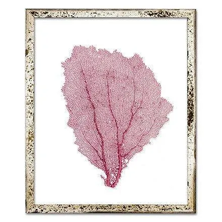 Coastal Sea Fan Framed Nautical Beach Wall Art - 15 x 18 - Available in 18 Colors