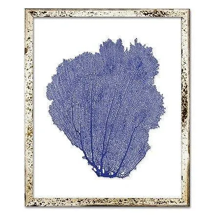 Coastal Sea Fan Framed Nautical Beach Wall Art - 15 x 18 - Available in 18 Colors