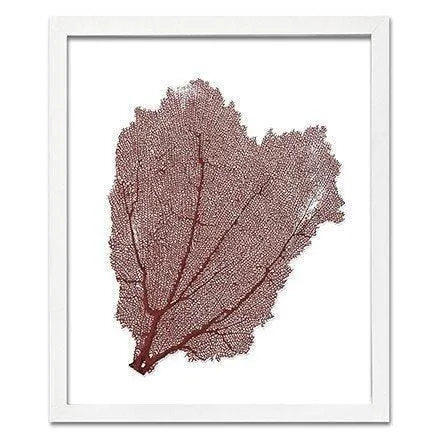 Coastal Sea Fan Framed Nautical Beach Wall Art - 15 x 18 - Available in 18 Colors