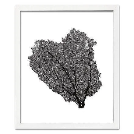 Coastal Sea Fan Framed Nautical Beach Wall Art - 15 x 18 - Available in 18 Colors