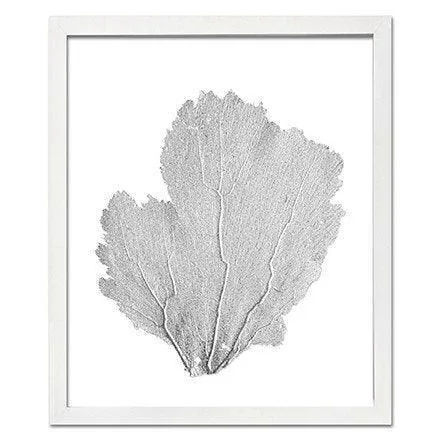 Coastal Sea Fan Framed Nautical Beach Wall Art - 15 x 18 - Available in 18 Colors