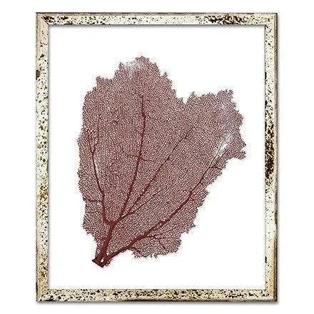 Coastal Sea Fan Framed Nautical Beach Wall Art - 15 x 18 - Available in 18 Colors