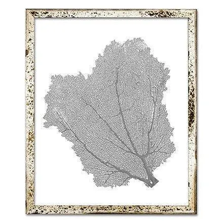 Coastal Sea Fan Framed Nautical Beach Wall Art - 15 x 18 - Available in 18 Colors