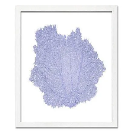 Coastal Sea Fan Framed Nautical Beach Wall Art - 15 x 18 - Available in 18 Colors