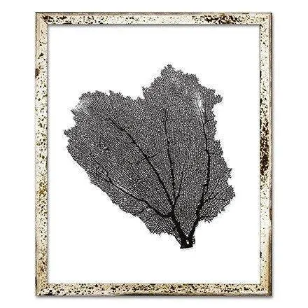 Coastal Sea Fan Framed Nautical Beach Wall Art - 15 x 18 - Available in 18 Colors