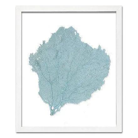 Coastal Sea Fan Framed Nautical Beach Wall Art - 15 x 18 - Available in 18 Colors