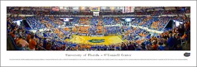 Florida Gators Basketball O'Connell Center Game Night Panoramic Poster Print - Blakeway