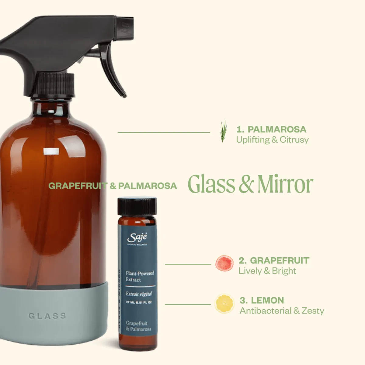 Glass and Mirror Cleaning Kit