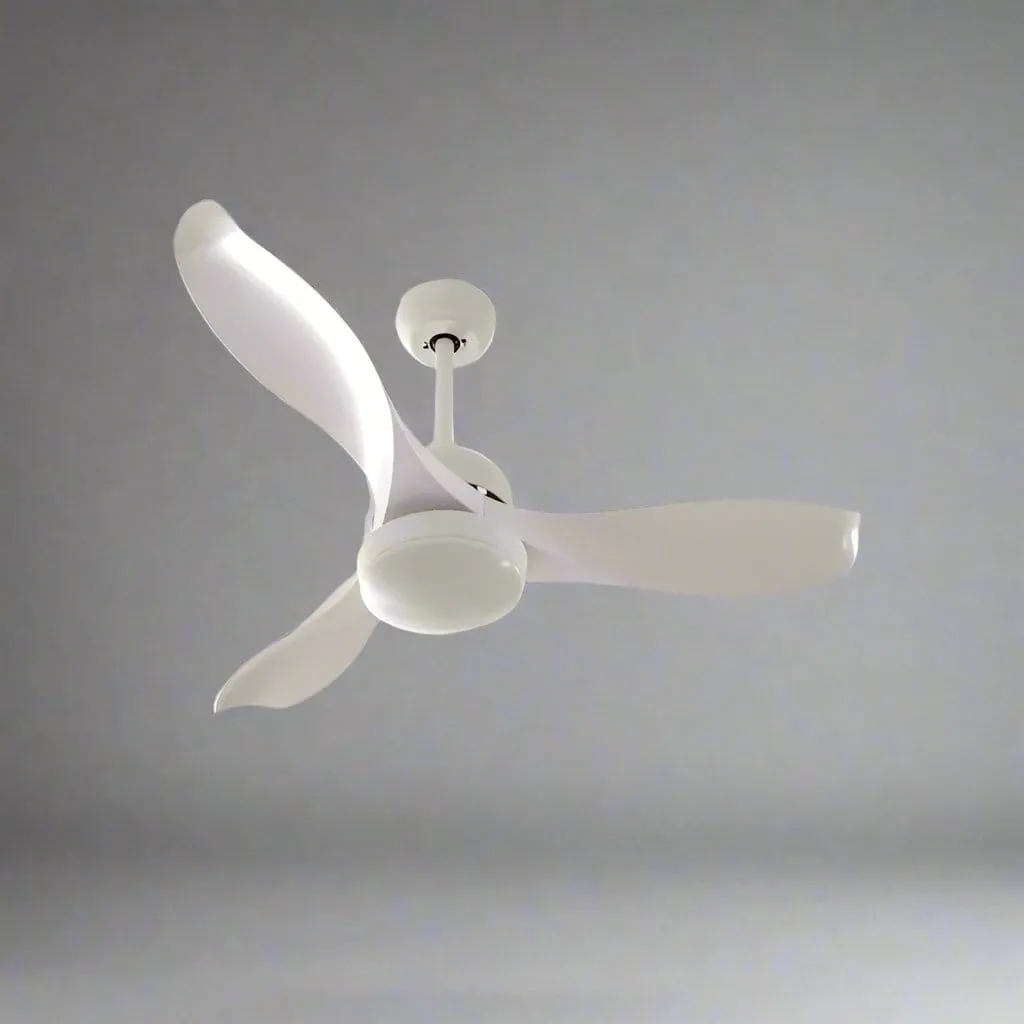 Jaylin | Lighted Ceiling Fan