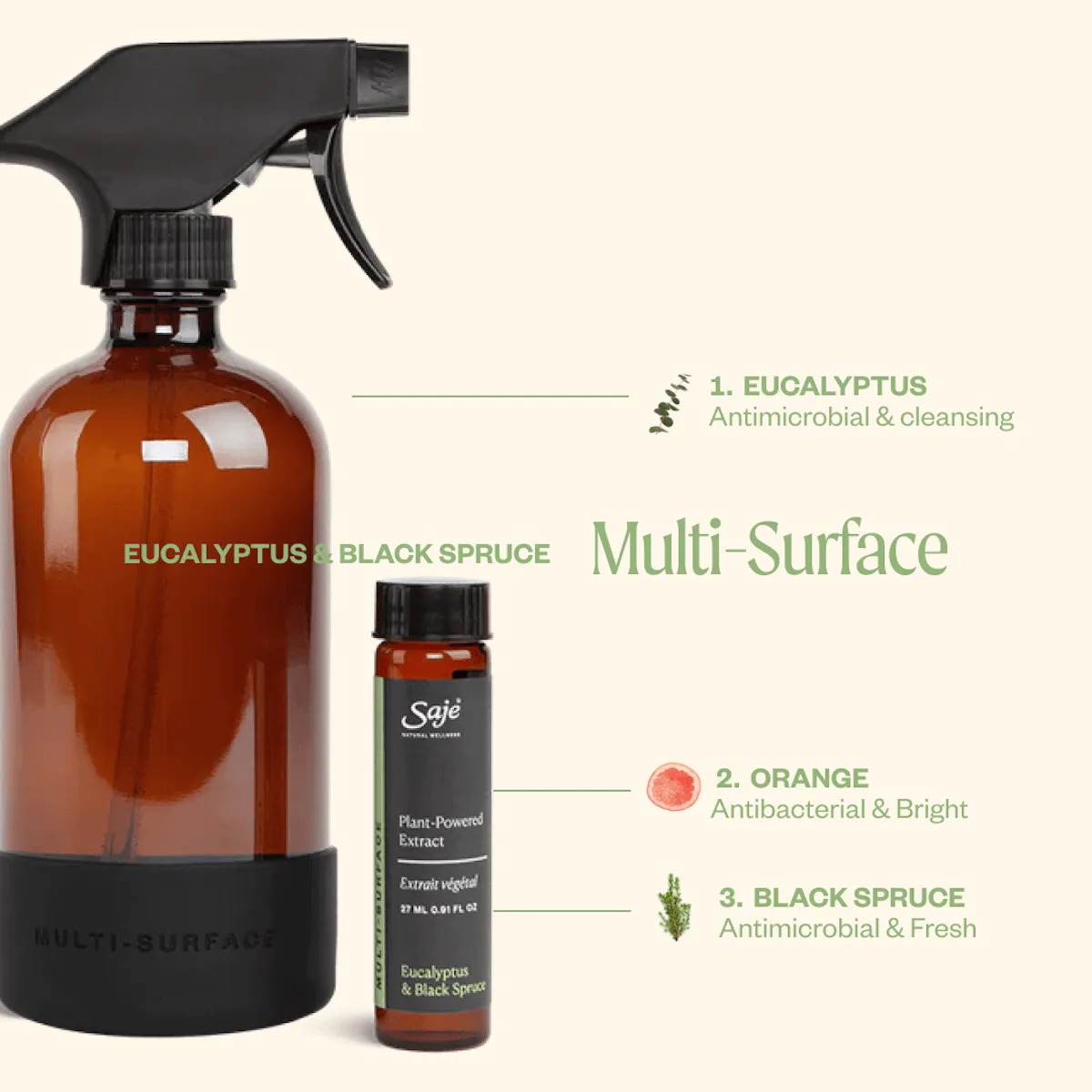 Multi-Surface Cleaning Kit